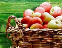 مربى التفاح في طباخ بطيء: وصفة بسيطة للغاية مربى التفاح في شرائح وصفة في طباخ ريدموند البطيء