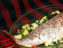 How to cook perch, cooking delicious sea perch in the oven Red sea perch recipes up your sleeve