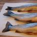 كيفية طبخ ألذ سمك السلمون المرقط: وصفات ونصائح