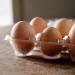 Shelf life of boiled eggs at room temperature
